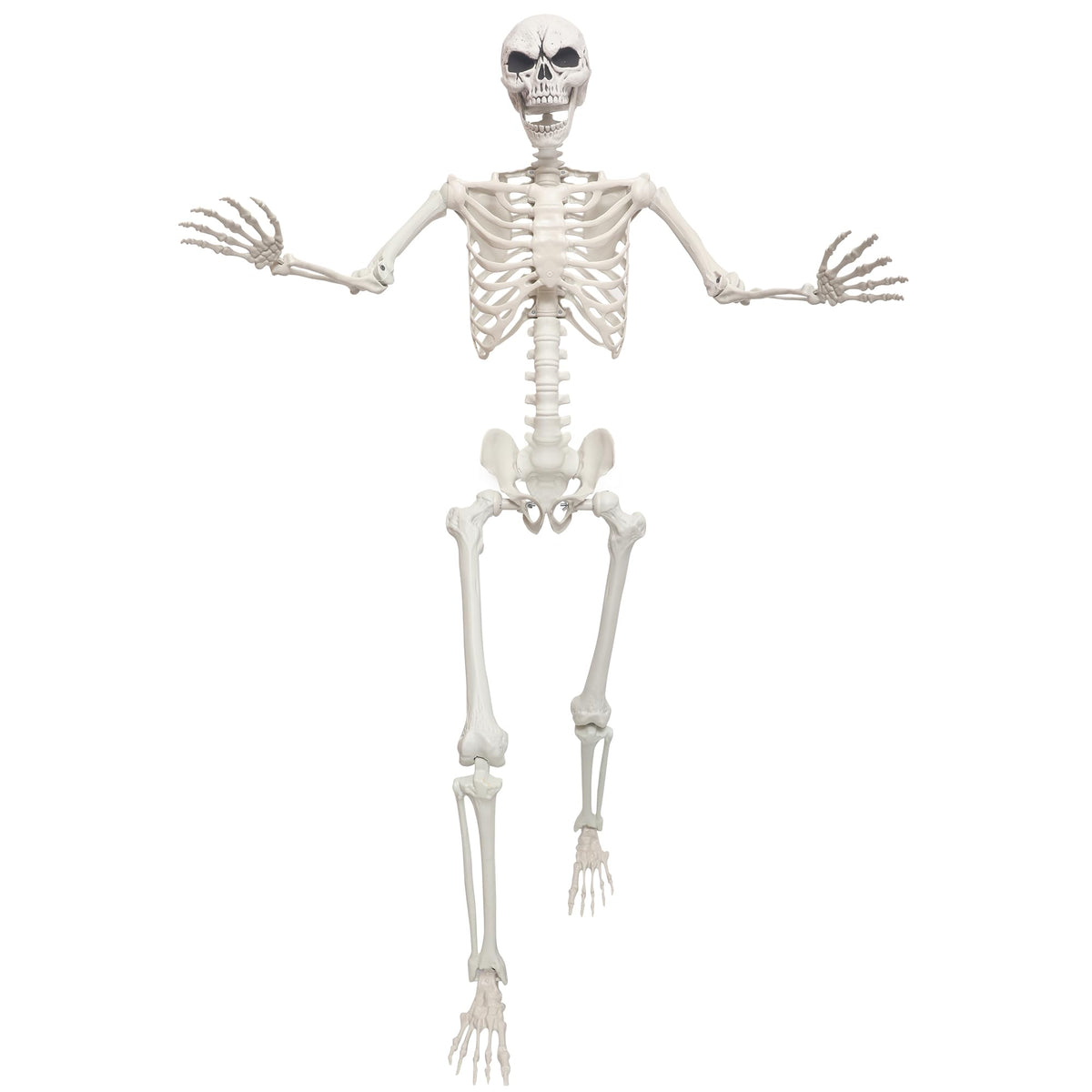 5.4ft Life Size Skeleton with Movable Joints I5121