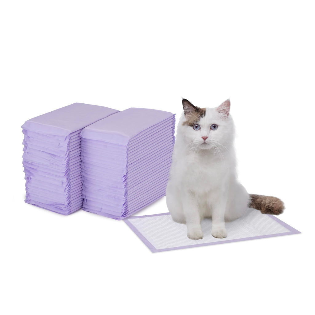Cat Pee Pads, Super Absorbent, Disposable, Unscented, 60 Count C58477
