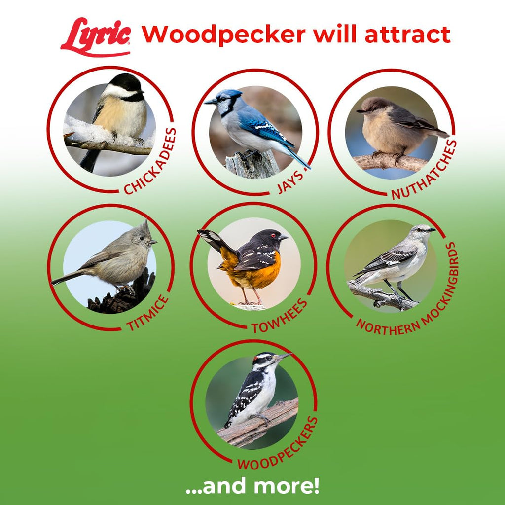 Woodpecker Wild Bird Seed with Nuts & Dried Fruit 20 lb Bag B4458