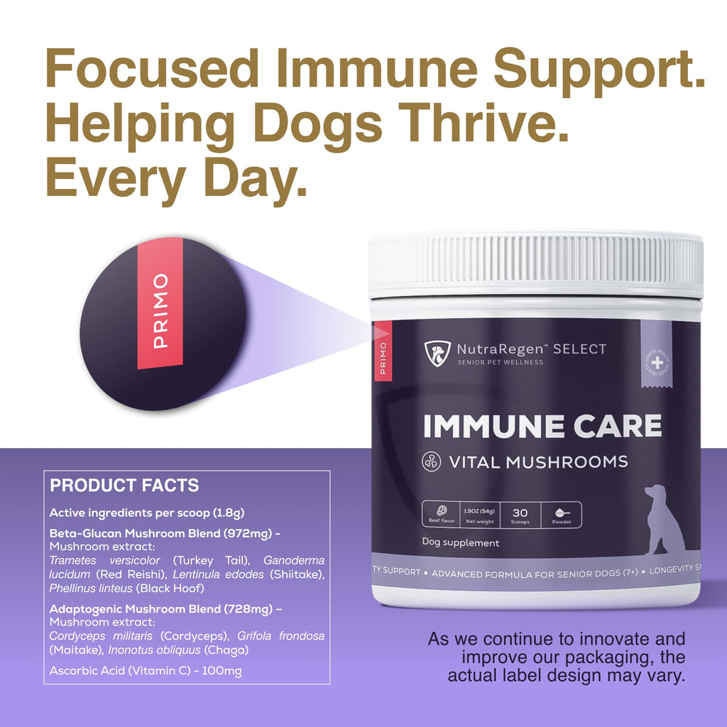 Dog Mushroom Supplement with Turkey Tail V875361