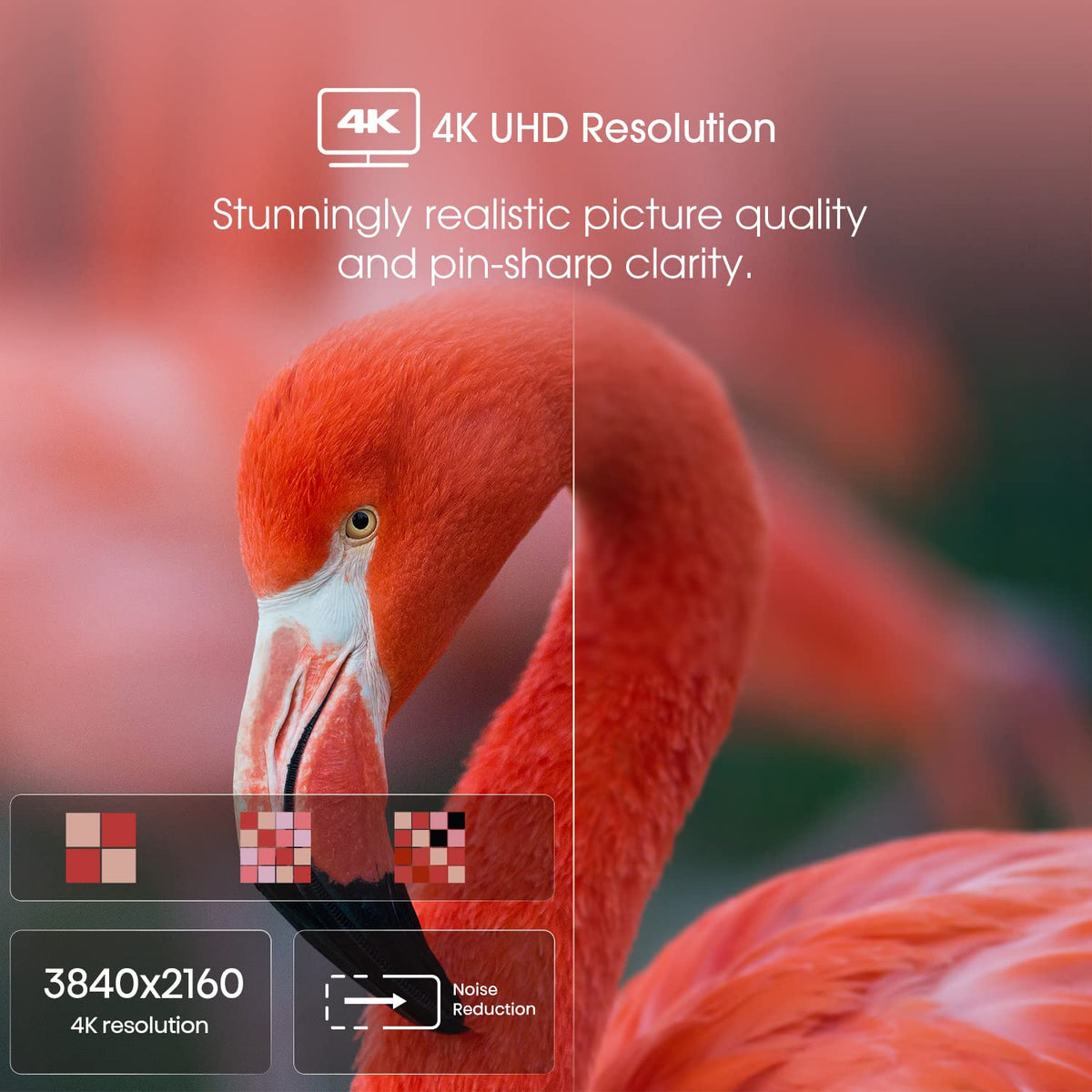 55-Inch 4K UHD Smart Google TV J999223