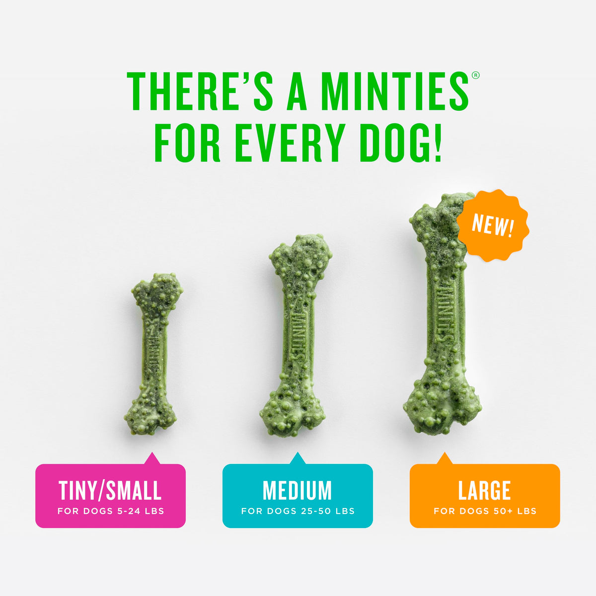 Mint Dental Chews for Dogs 36 Ct G550