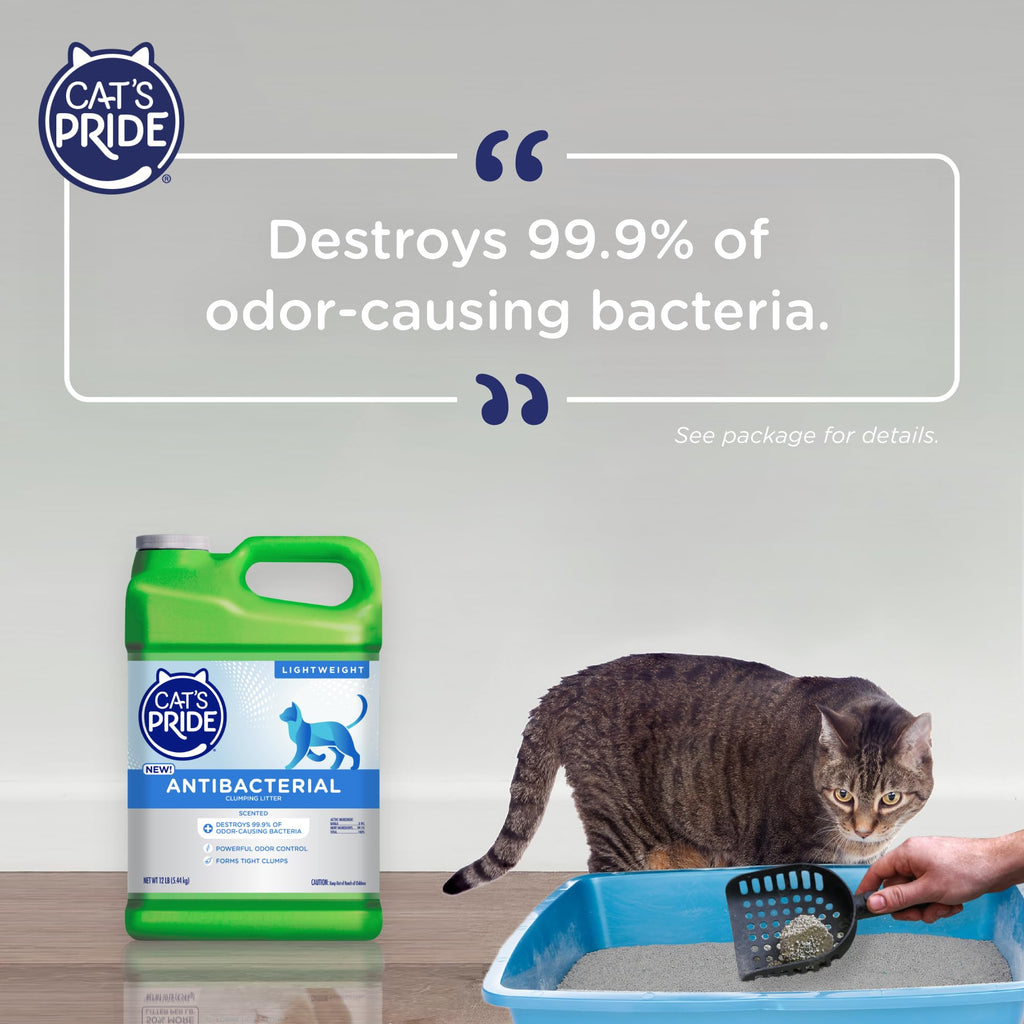 Antibacterial Odor-Eliminating Scented Cat Litter 12lb N964651