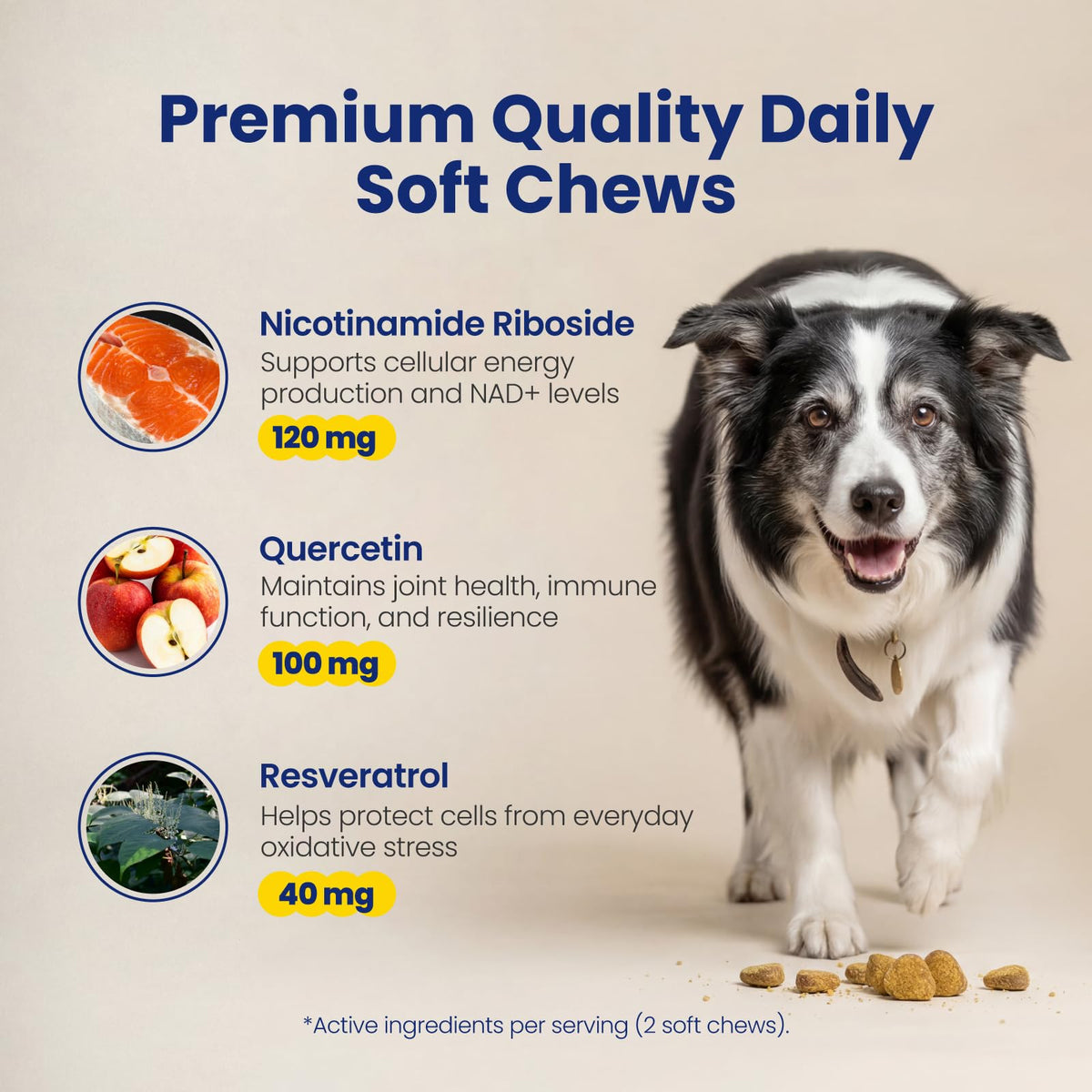 90 Soft Chews NAD+ Precursor Senior Dog Supplement V31897