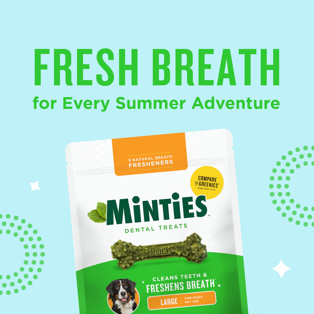 Mint Dental Chews for Dogs 36 Ct G550