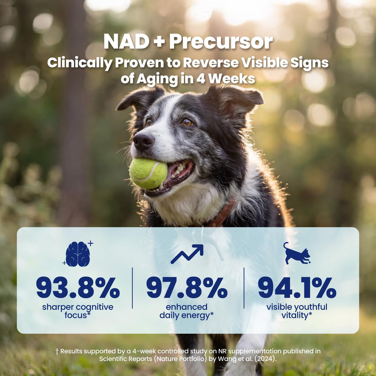 90 Soft Chews NAD+ Precursor Senior Dog Supplement V31897