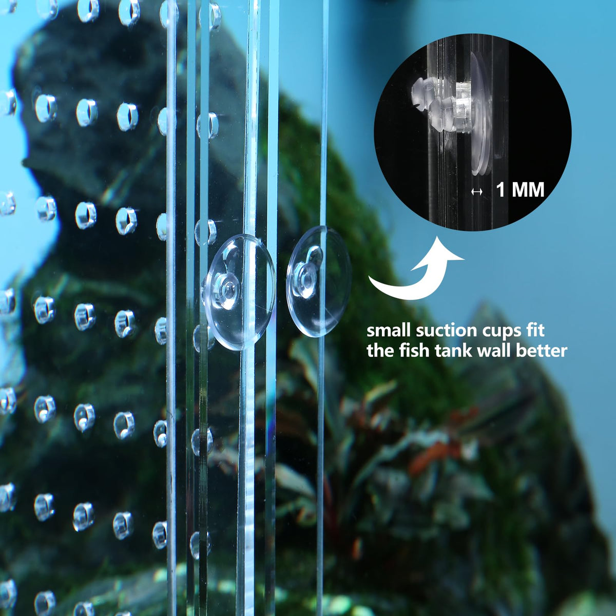 Acrylic Fish Tank Divider with Suction Cups C145