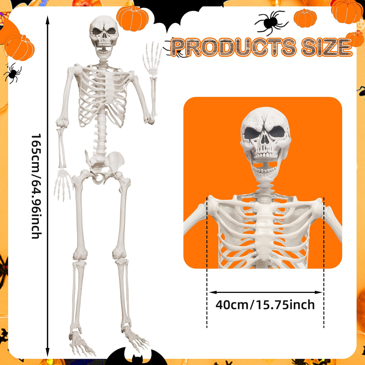 5.4ft Life Size Skeleton with Movable Joints I5121