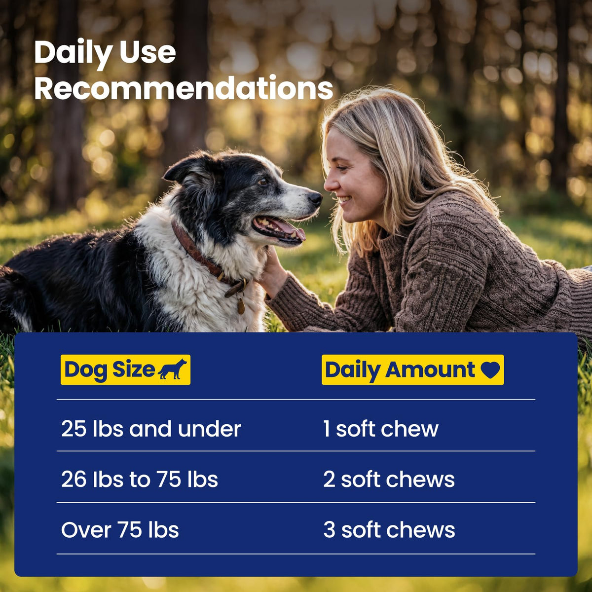 90 Soft Chews NAD+ Precursor Senior Dog Supplement V31897