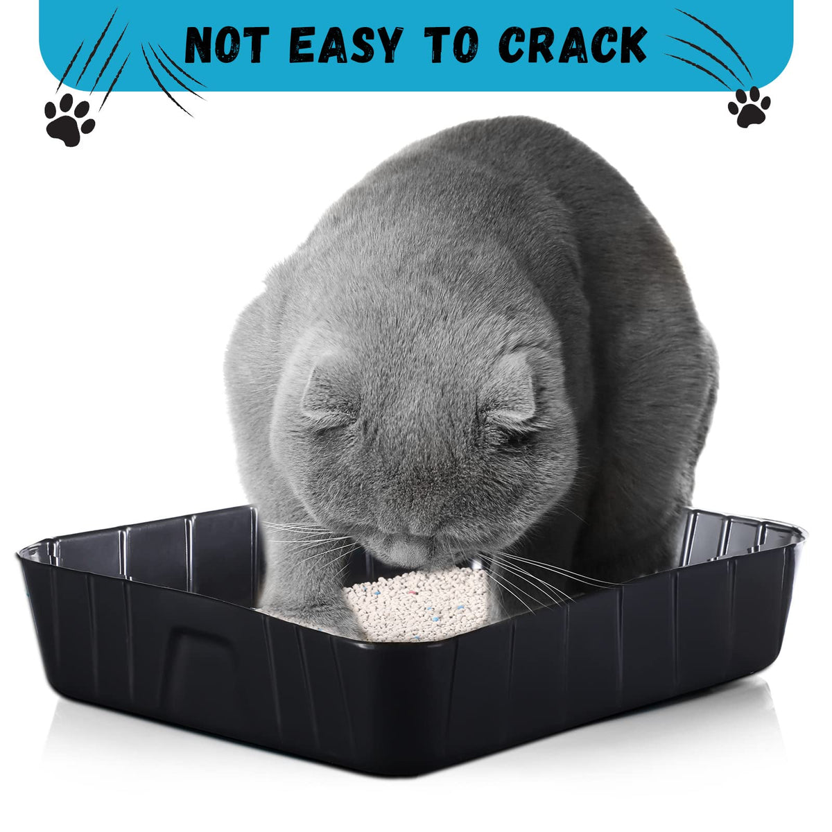 Black Disposable Litter Box for Cats O156659
