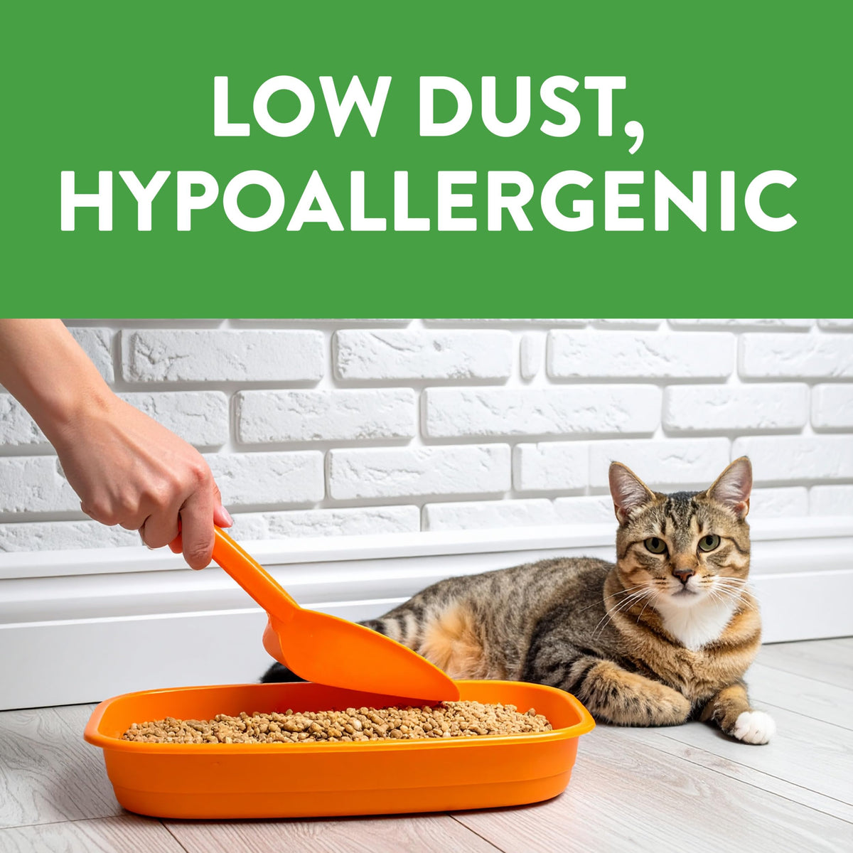 Non-Clumping Cat Litter 17lb D67368