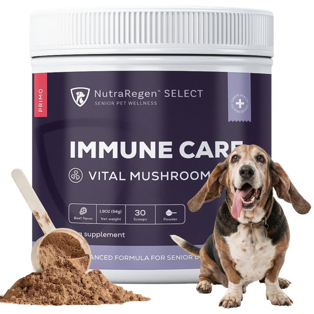 Dog Mushroom Supplement with Turkey Tail V875361