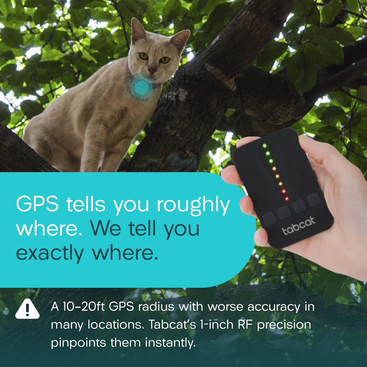Cat & Kitten Tracker with 4 Homing Tags U763032