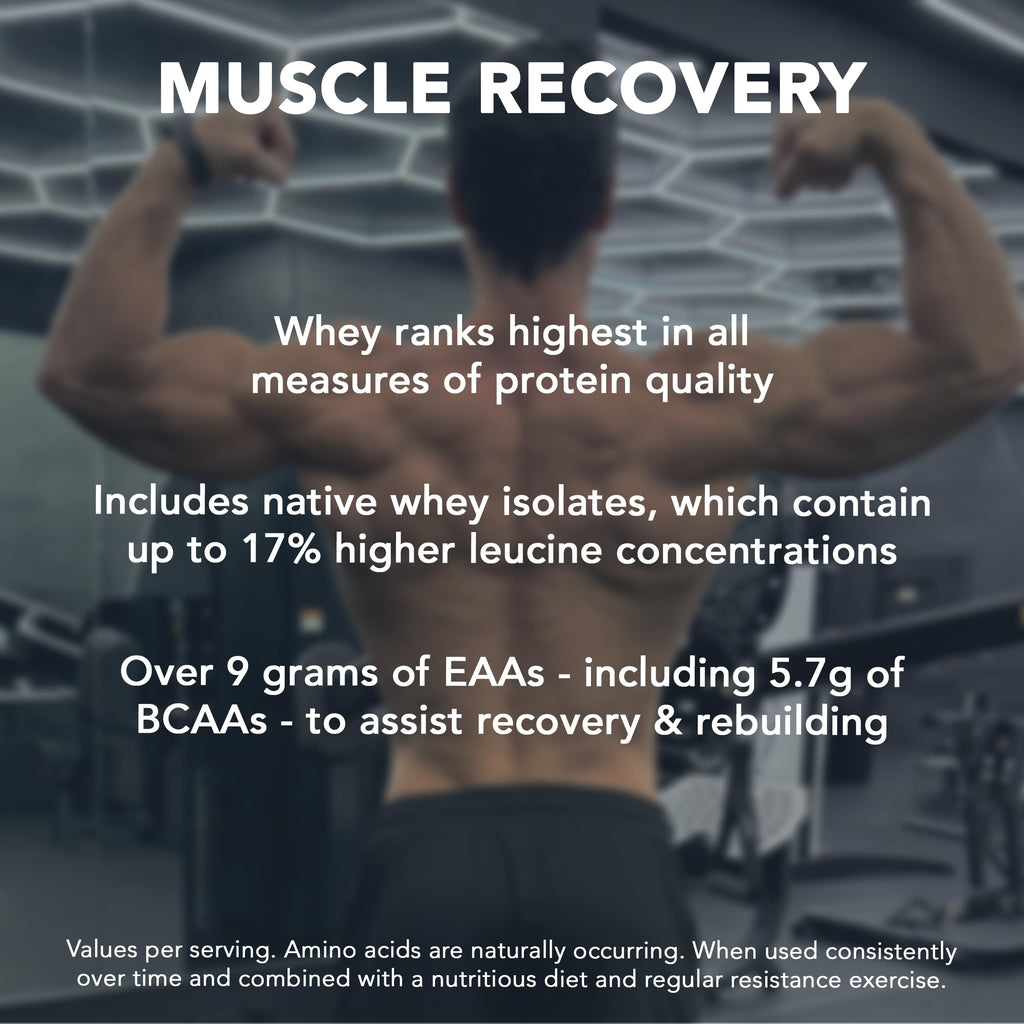 Whey Protein Powder Pure Chocolate 5 lb Q926332