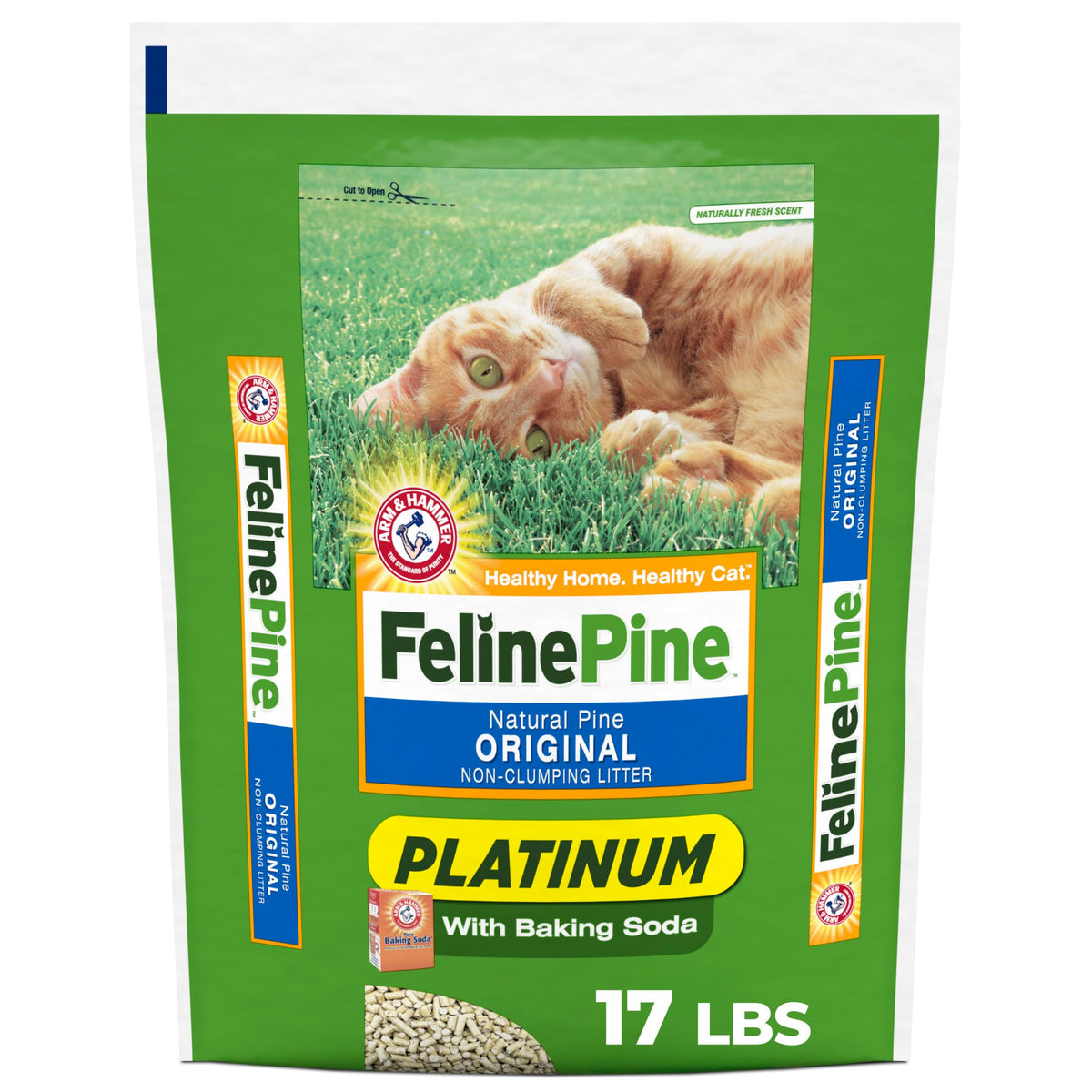 Non-Clumping Cat Litter 17lb D67368