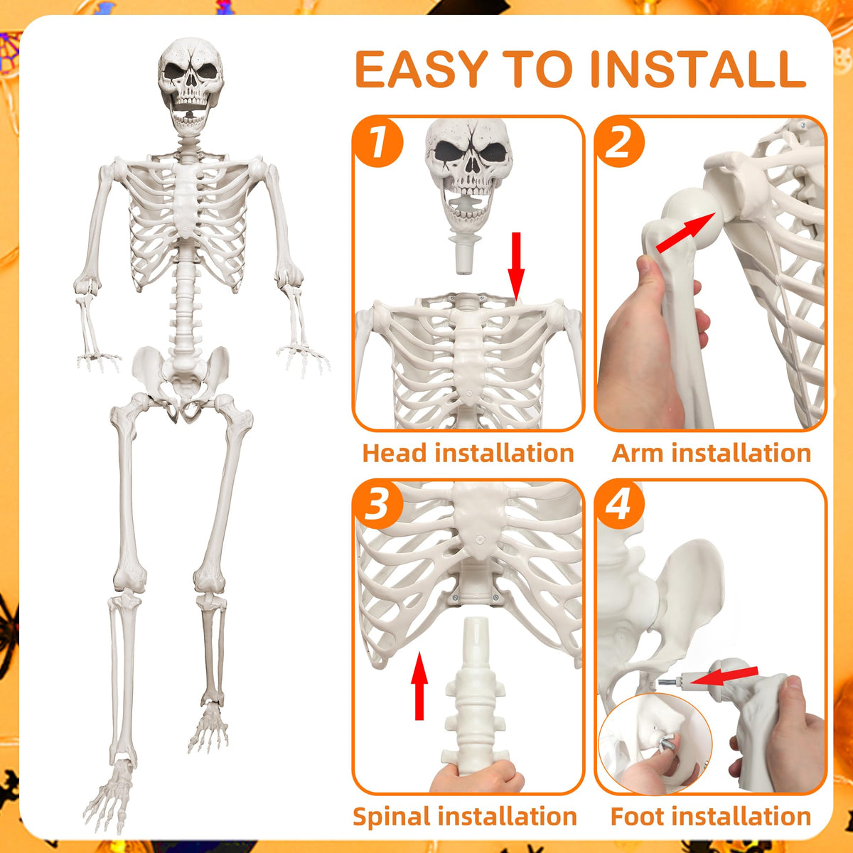 5.4ft Life Size Skeleton with Movable Joints I5121