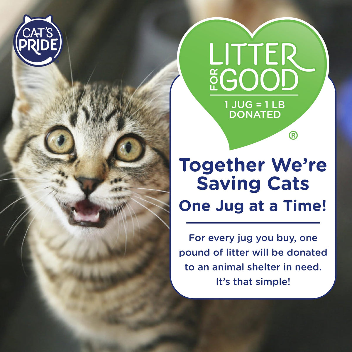 Antibacterial Odor-Eliminating Scented Cat Litter 12lb N964651