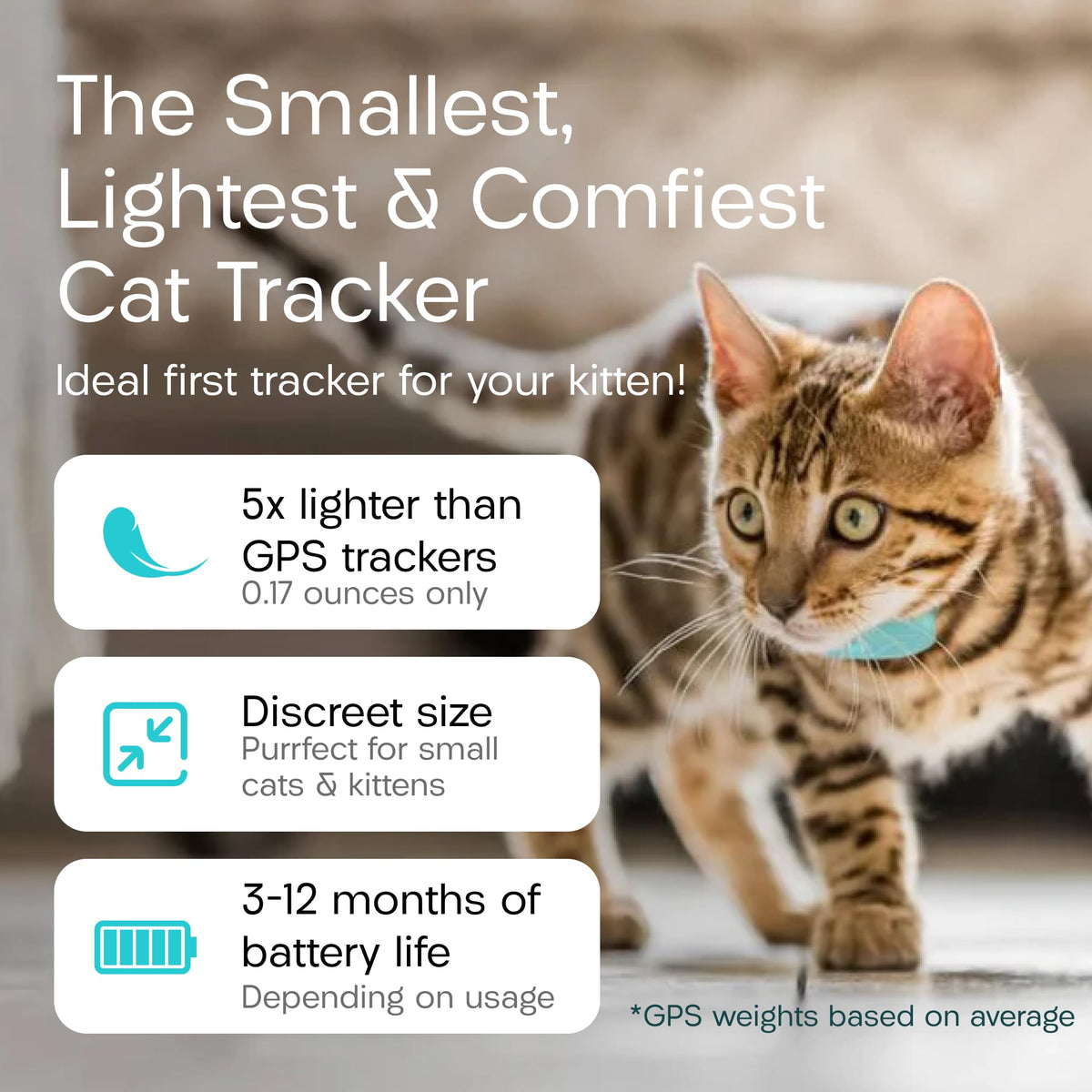 Cat & Kitten Tracker with 4 Homing Tags U763032