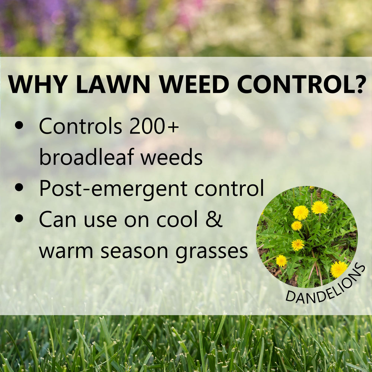 Post Emergent Weed Killer 15,000 Sq Ft J9083