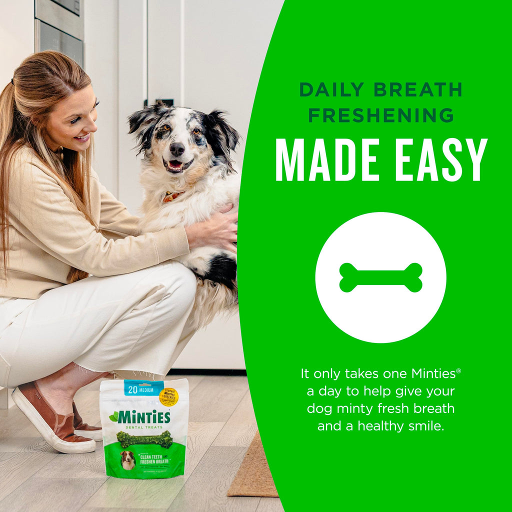 Mint Dental Chews for Dogs 36 Ct G550
