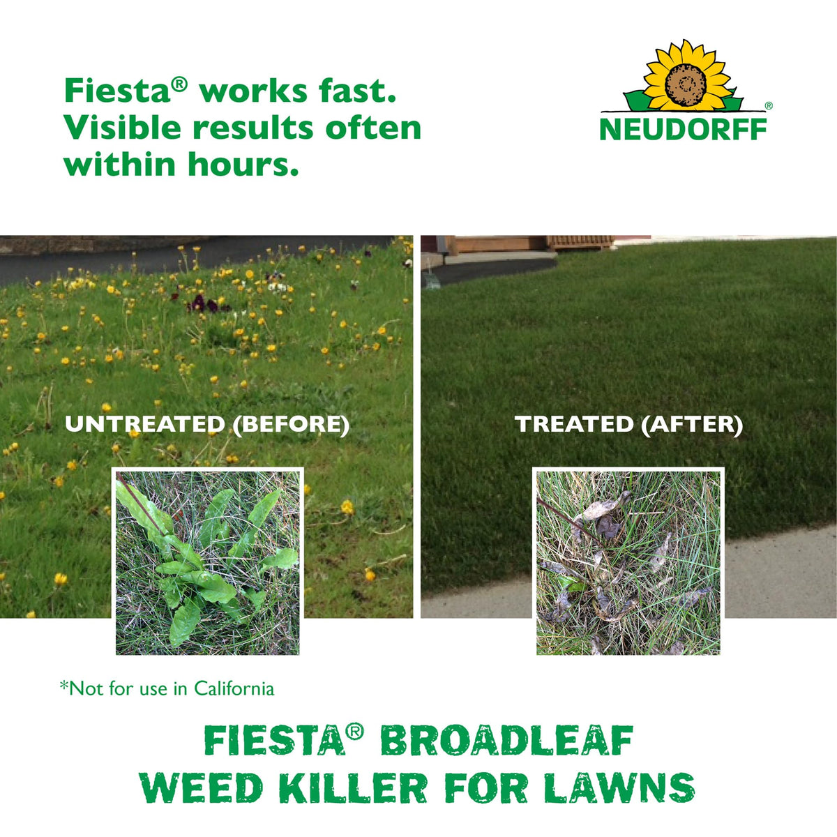 Turf Weed Killer Herbicide Concentrate One Gallon Z324