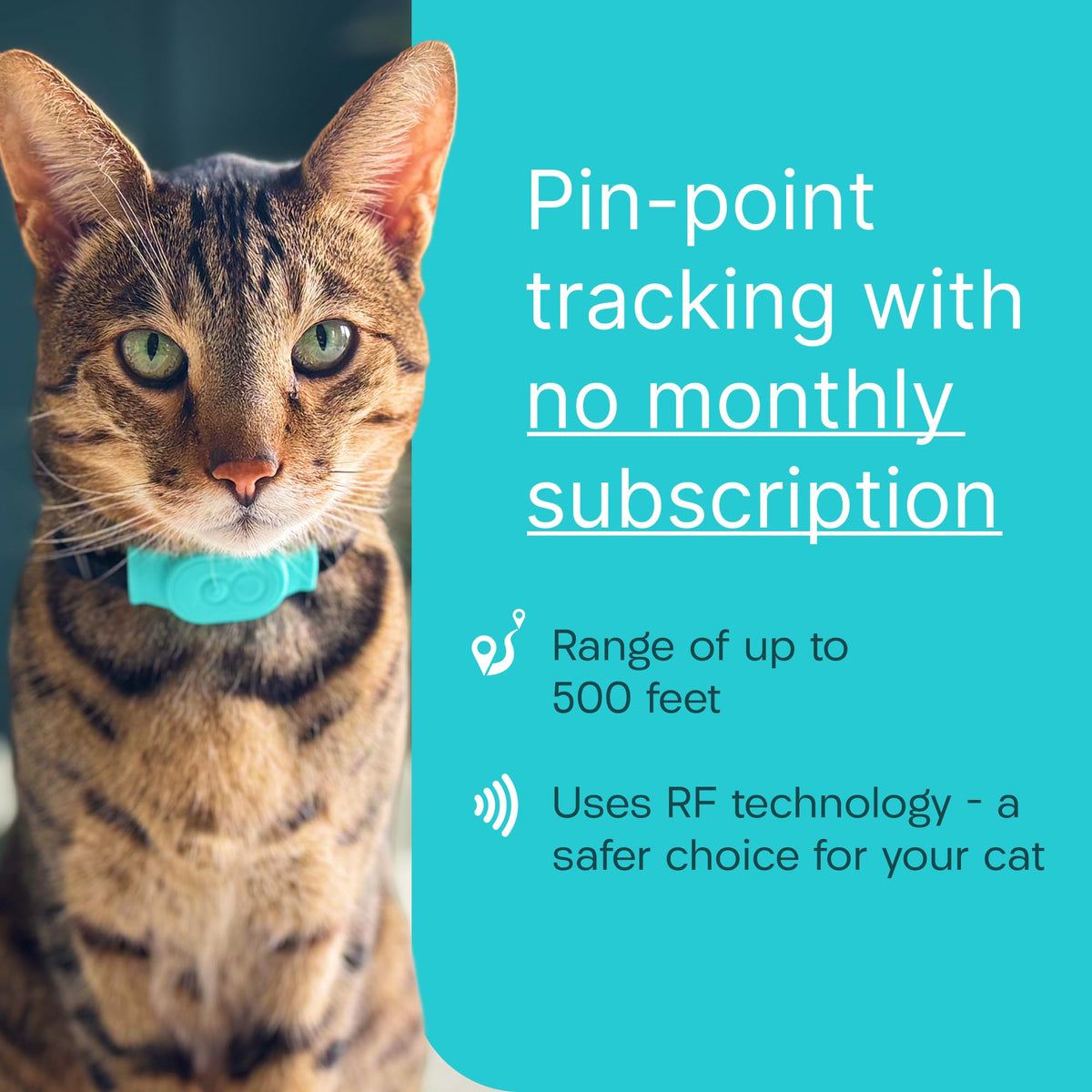 Cat & Kitten Tracker with 4 Homing Tags U763032