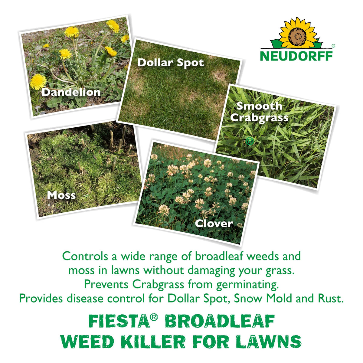 Turf Weed Killer Herbicide Concentrate One Gallon Z324