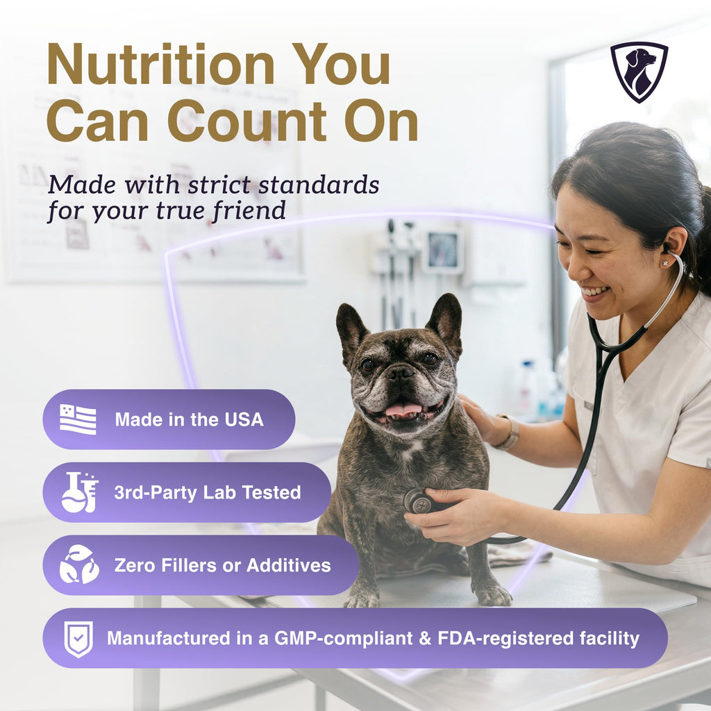 Dog Mushroom Supplement with Turkey Tail V875361