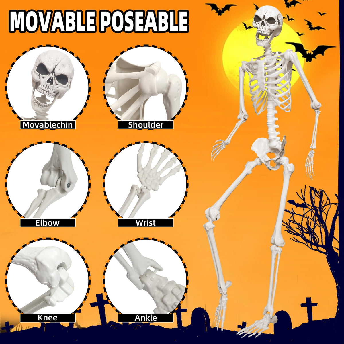 5.4ft Life Size Skeleton with Movable Joints I5121