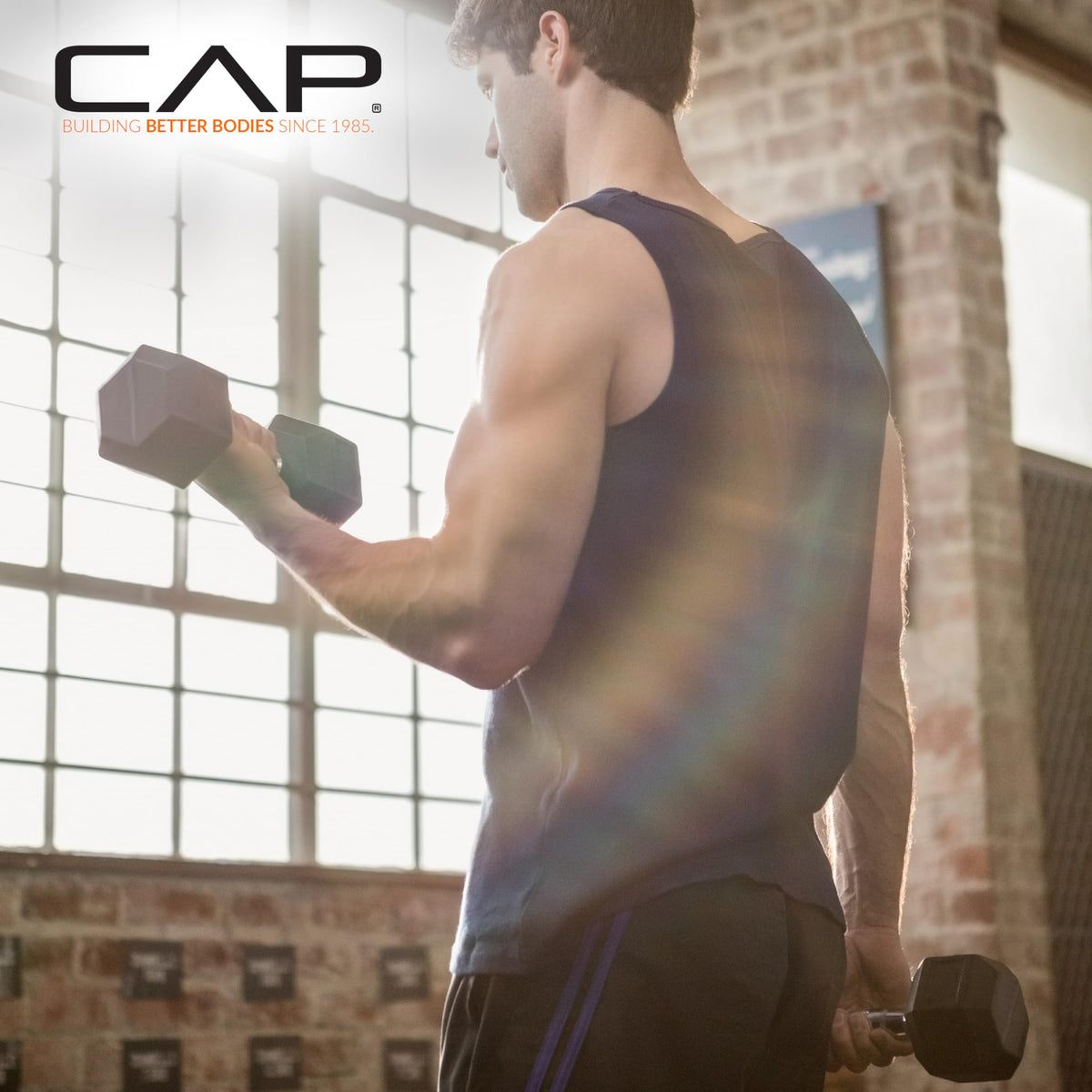Rubber Coated Hex Dumbbell F332683