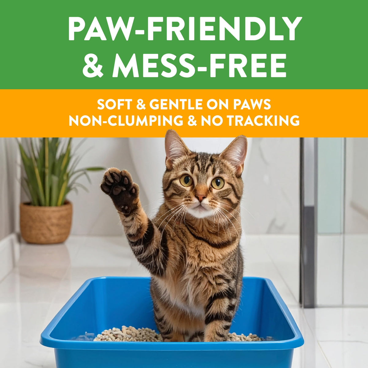 Non-Clumping Cat Litter 17lb D67368