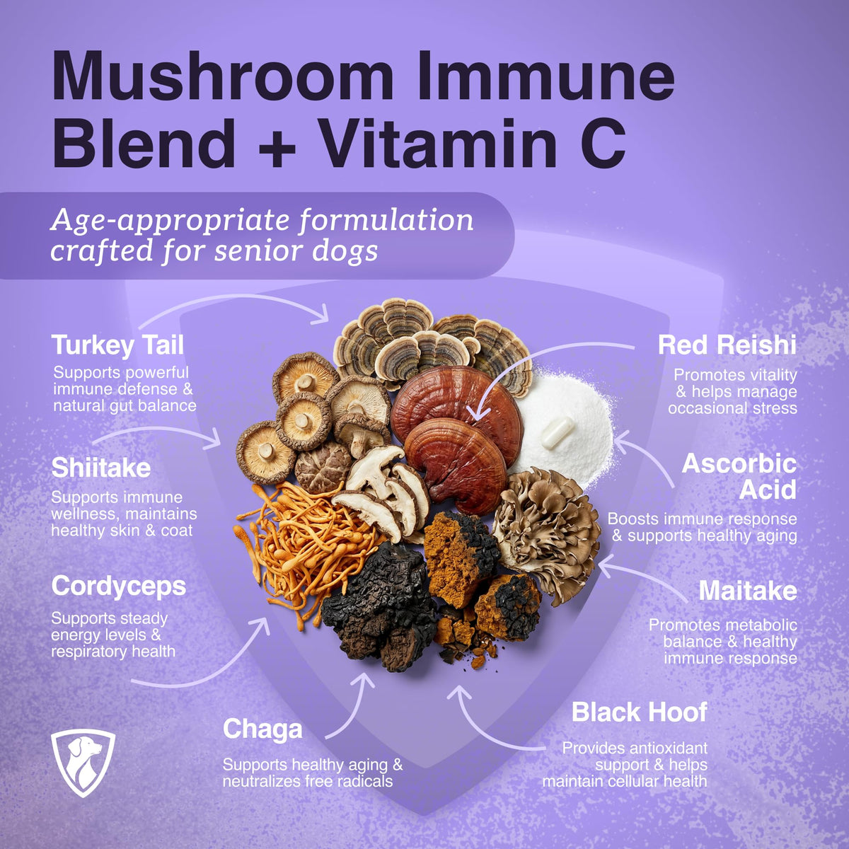 Dog Mushroom Supplement with Turkey Tail V875361