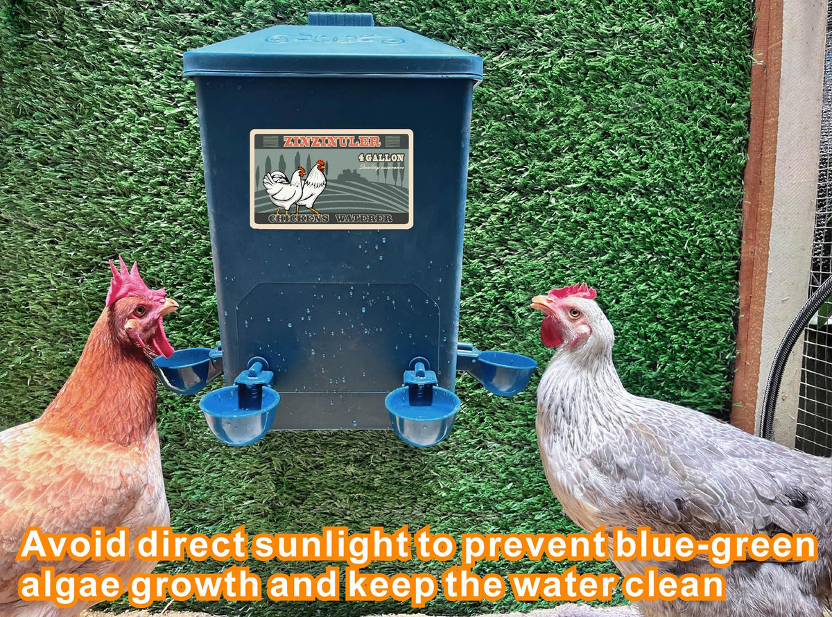 6 Gallon Chicken Waterer 2-Pack A797123